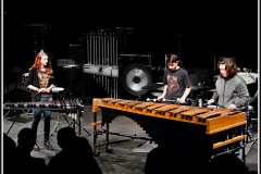 Festival bicích nástrojů 2016 - den 1